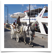 TRAVEL IN STYLE - Des Hawley
